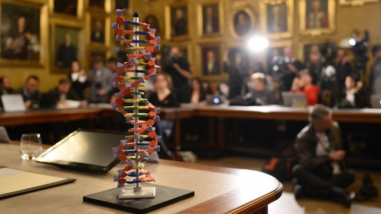 Una maqueta de ADN en el escritorio, durante 